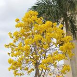 oο半夜夢見伱οo头像