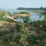 笑傲江湖398头像