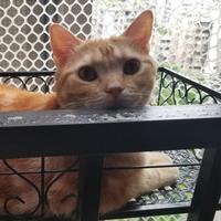 其乐融融卡梅尔5Y头像