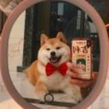 用户2167868352668头像