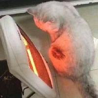牙…疼头像