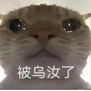 被乌汝了的个人资料头像