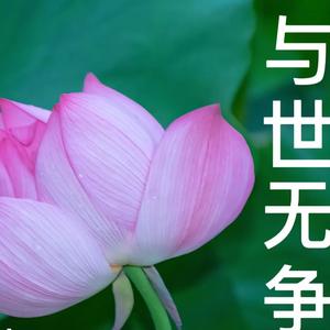 沉着山丘F头像