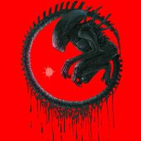 聪明的山丘5gQ头像