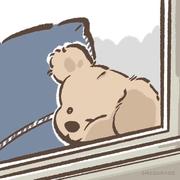 十九号困的个人资料头像