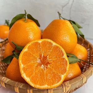 小涂鲜果头像