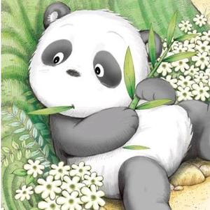 轻文科普头像