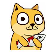 奥巴猫的个人资料头像