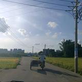 正义没人相信头像