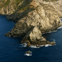 多才多艺画板Fo6头像