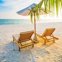 快乐的雪梨753Au头像