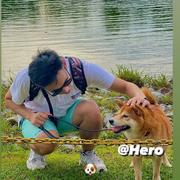 一只高空猿的个人资料头像