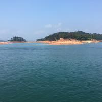 用户4820035349207头像