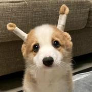 用户766814049618的个人资料头像