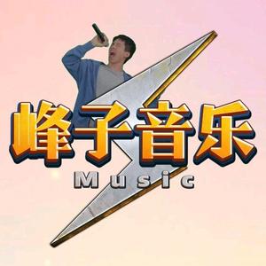 峰子音乐（U盘）头像