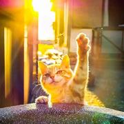 随缘552的个人资料头像