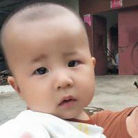 认真的小猫2q3头像