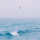 Young的手机专柜的个人资料头像