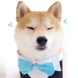 匿名ღ941头像