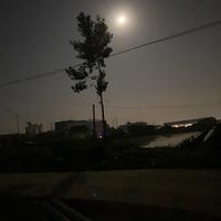 创意汽车1x9头像