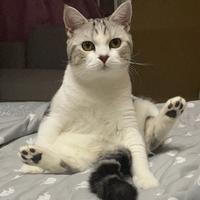 和紗头像