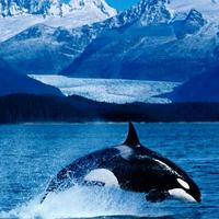 奋斗的小青年6181头像