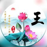 金龙2618头像
