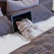 By192的个人资料头像