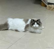 我就是Younghandsome的个人资料头像