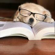 联邦星舰企业的个人资料头像