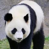 用户2181631863998头像