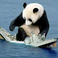 逆流的小鱼6头像