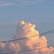 北海忆笙的个人资料头像