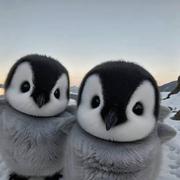 一帆风顺22的个人资料头像