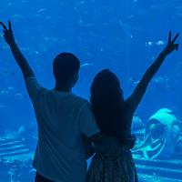 用户5343901583240头像