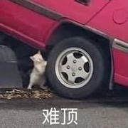 LzokChen的个人资料头像