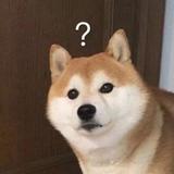 九制陈皮话梅糖头像