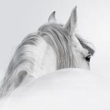 称心如意30581442头像