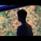 大C哥哥983头像