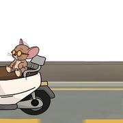 南风了的个人资料头像