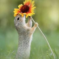 自由的高山UuX头像