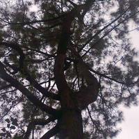 不在服务区9670头像