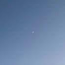 zqh的个人资料头像