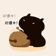 User_芊芊君子的个人资料头像