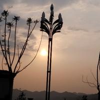 时间害人害己头像