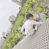 勇往直前的露珠vE头像