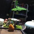 绿松石毛哥头像