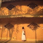 枝枝君的个人资料头像