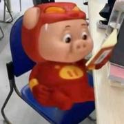 尼古拉斯赵皮皮828的个人资料头像