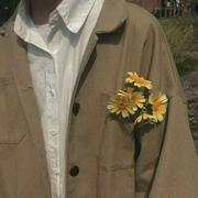 单树的个人资料头像